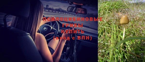 мяу мяу мука Волоколамск