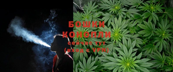 мяу мяу мука Волоколамск