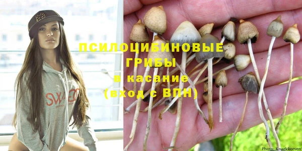 мяу мяу мука Волоколамск