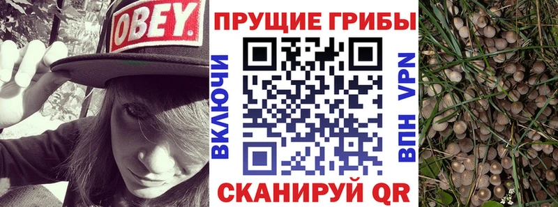 Псилоцибиновые грибы прущие грибы  Купить где  Киреевск 